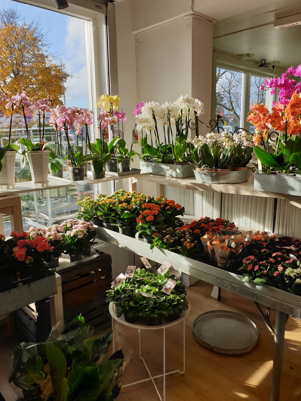 Almhages Blomsterhandel